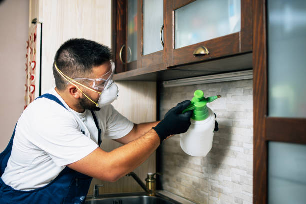 Trusted Fairborn, OH Pest Control Experts