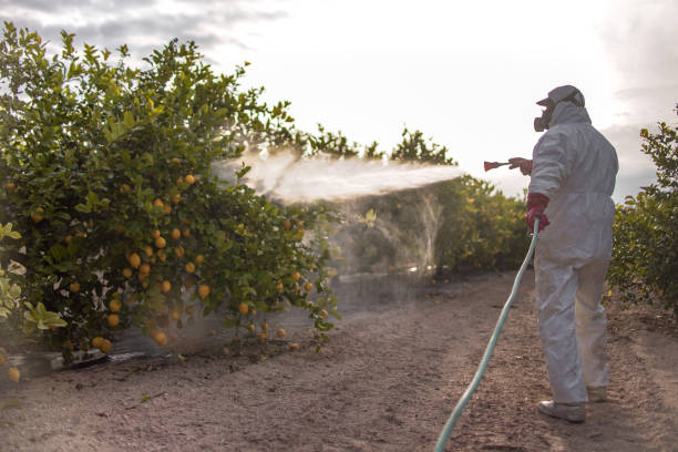 Best Local Pest Control Services  in Fairborn, OH