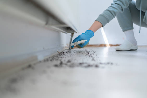 Pest Prevention Services in Fairborn, OH